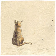 信川みなみ　ハシビロコウ