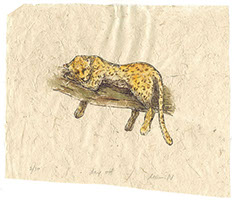 信川みなみ　ハシビロコウ