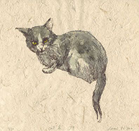 信川みなみ　ハシビロコウ