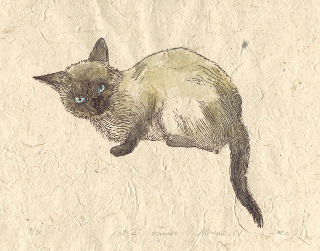 信川みなみ　ハシビロコウ