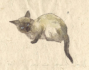 信川みなみ　ハシビロコウ