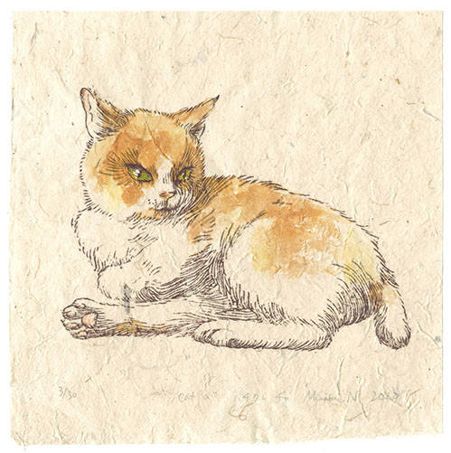 信川みなみ　ハシビロコウ