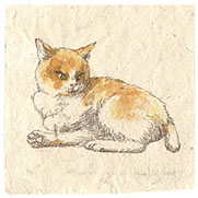 信川みなみ　ハシビロコウ