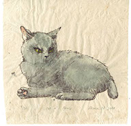 信川みなみ　ハシビロコウ